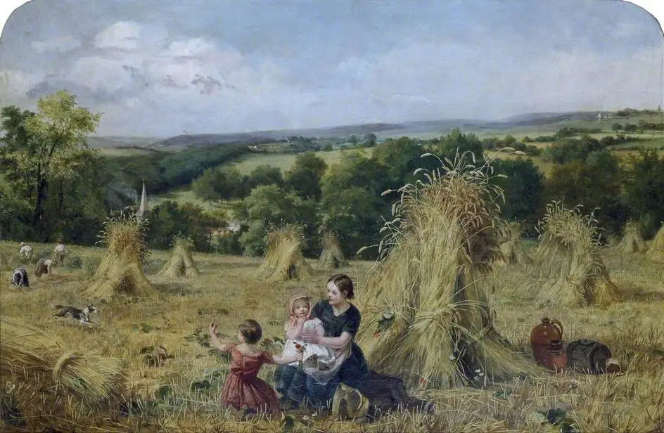 The Harvest Field