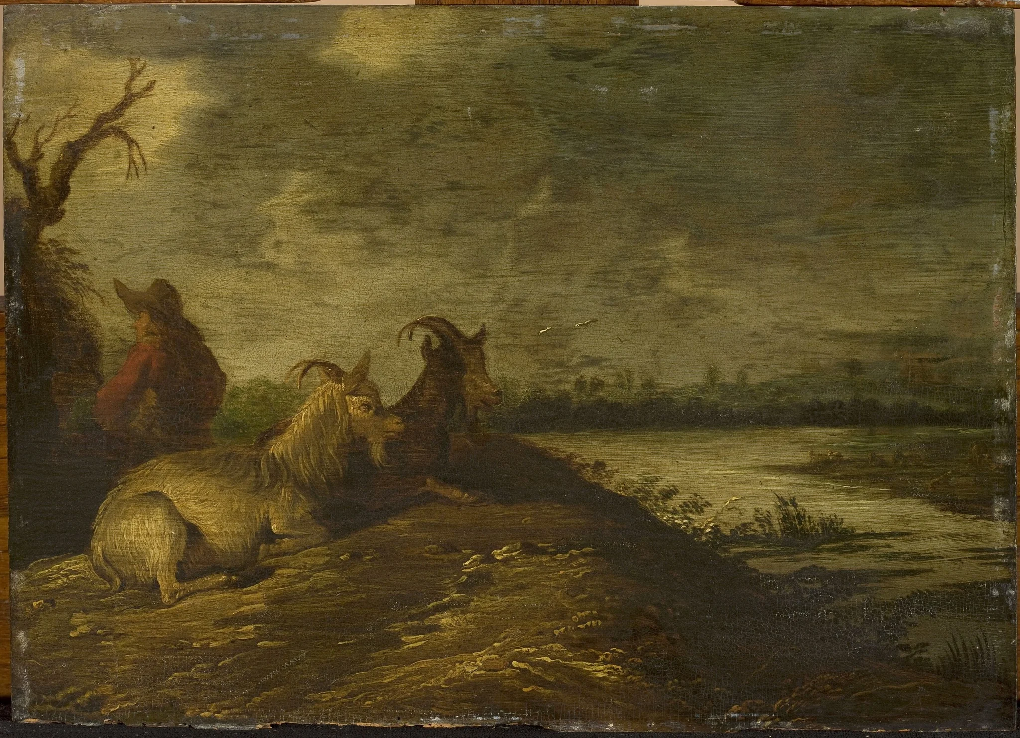 Landscape with goats