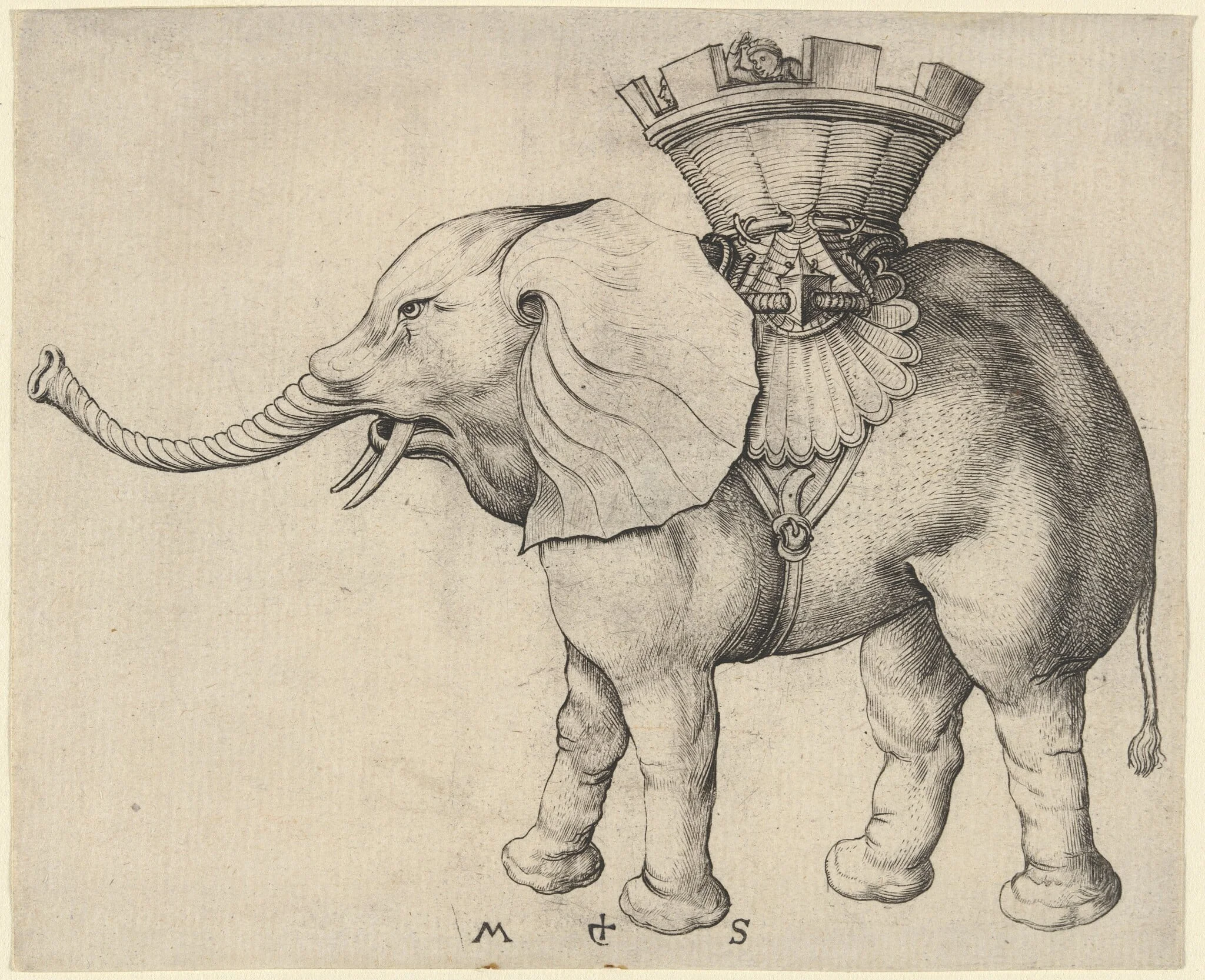 Elephant, by Martin Schongauer, ink, 1485