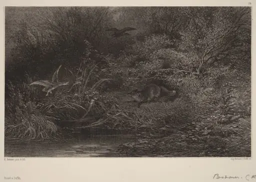 Renard à l'affût