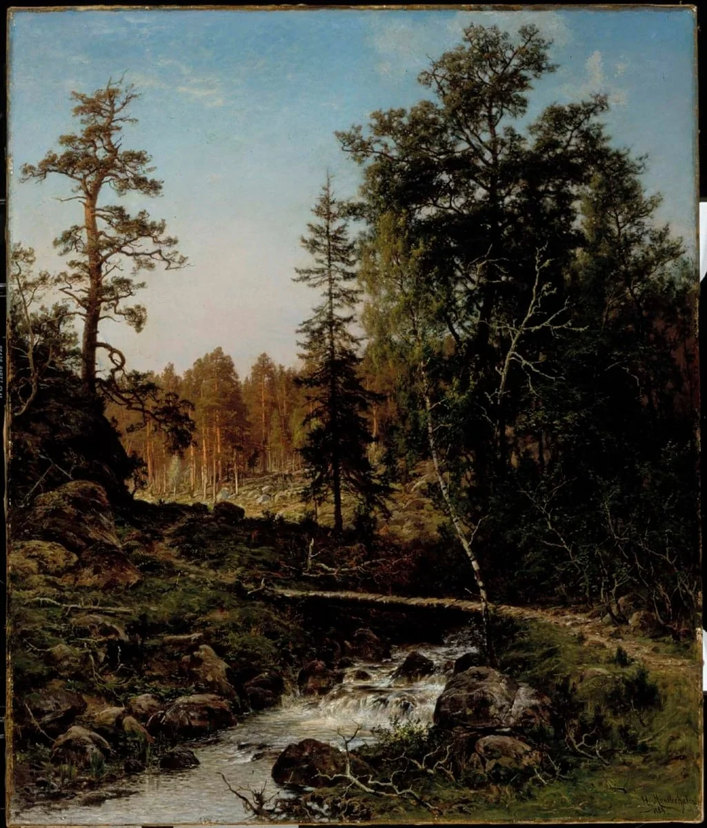 Metsämaisema Hauholta