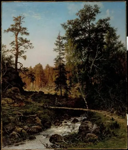 Metsämaisema Hauholta