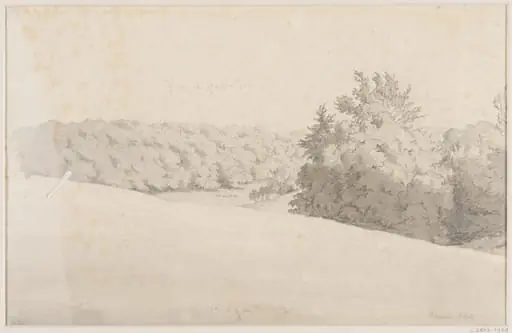 Knole Park
