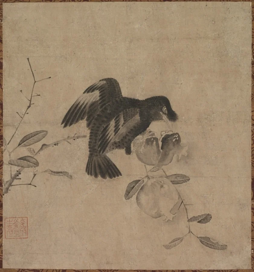 Crow on a Pomegranate, by Unknown, unspecified, 1504