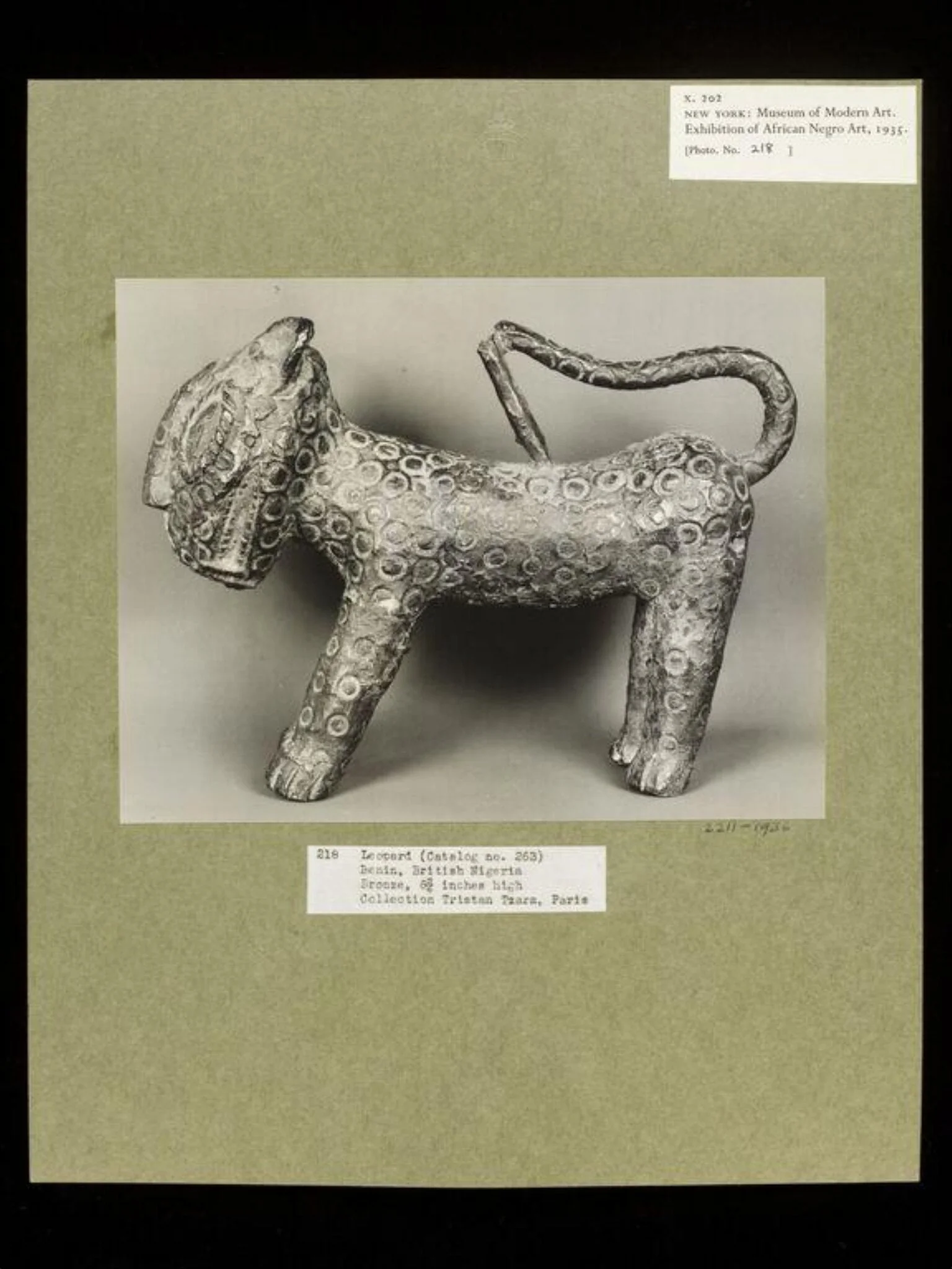 Leopard.  Benin., by Walker Evans, photographic, 1935