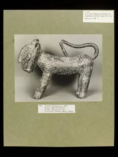 Leopard.  Benin.