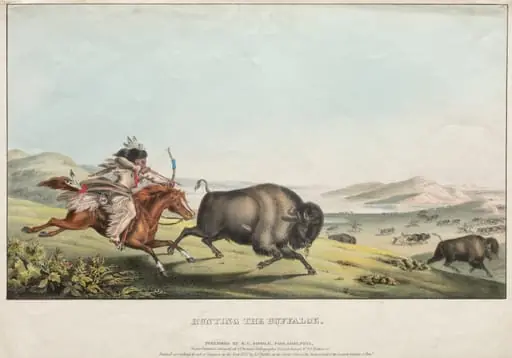Hunting the Buffalo