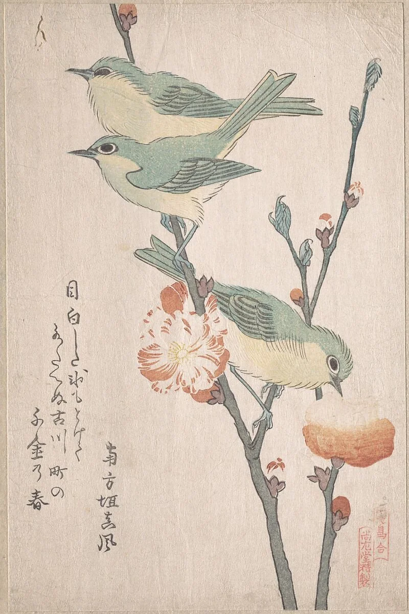 『鳥合』　桃花に目白|Japanese White-eyes on a Branch of Peach Tree,” from the Series An Array of Birds (Tori awase), from Spring Rain Surimono Album (Harusame surimono-jō, vol. 3), by Kubo Shunman, ink, 1808