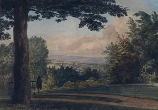 Park Landscape