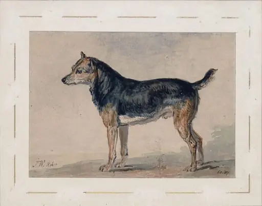 Sketch of a dog
