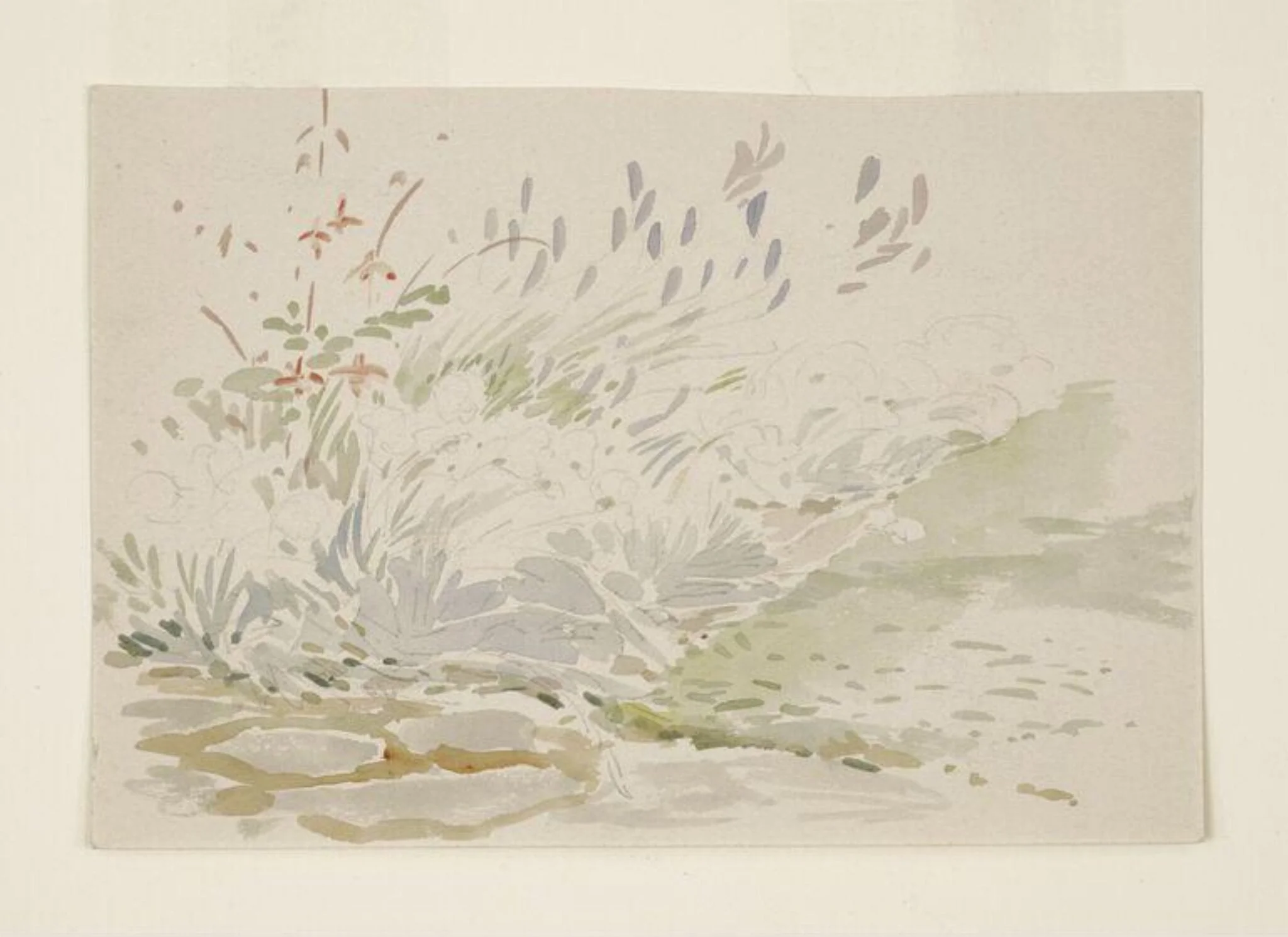 Sketch of a flower bed in the garden at Gwaynynog
