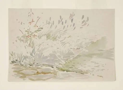 Sketch of a flower bed in the garden at Gwaynynog