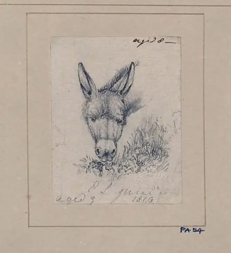 Drawing of a donkey