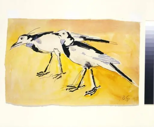 Wagtails