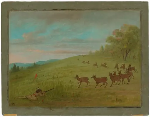 Antelope Shooting - Assinneboine