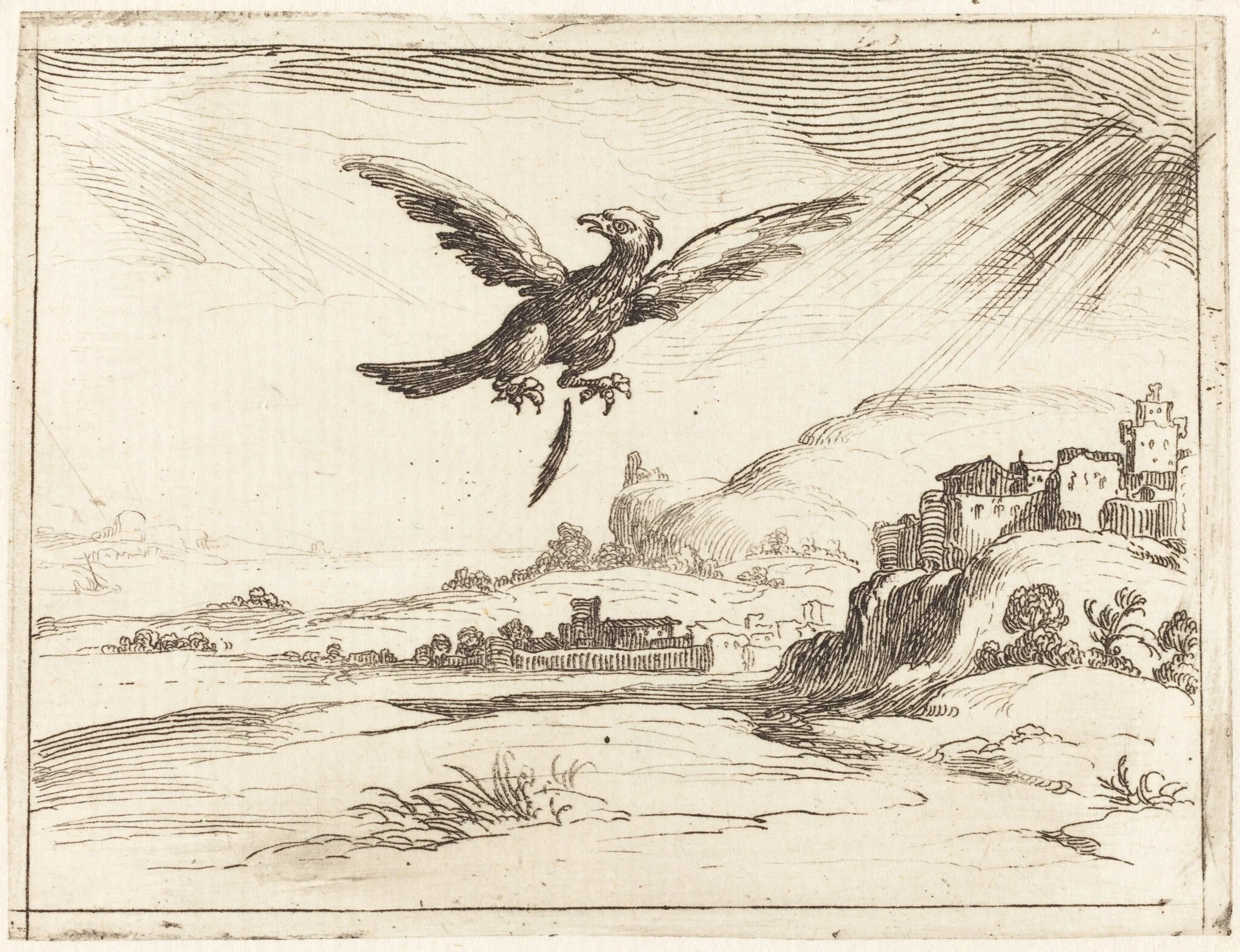 Eagle Losing an Old Feather