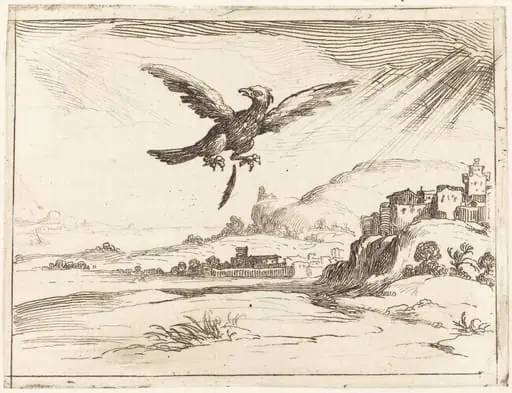 Eagle Losing an Old Feather