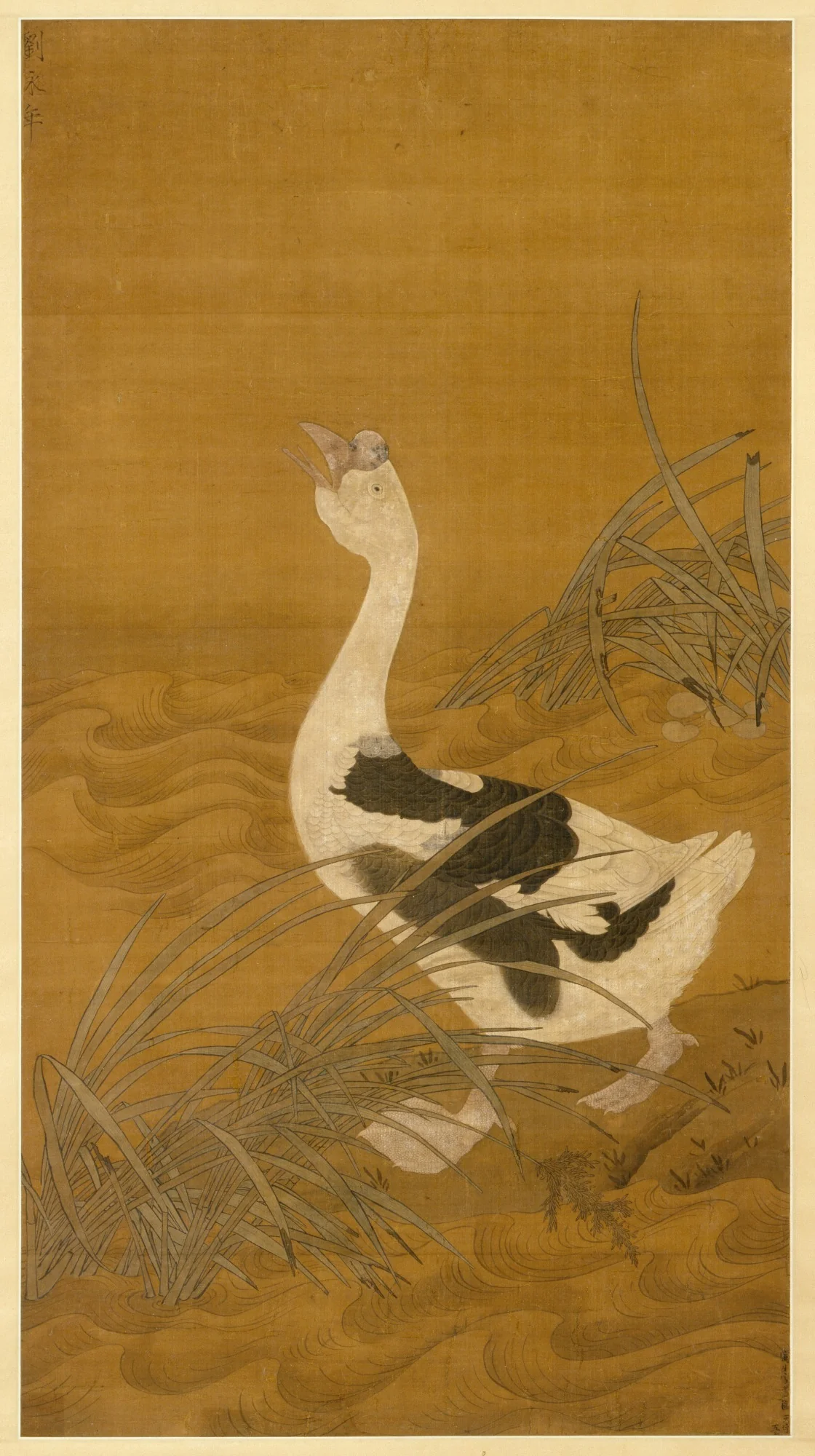 Swan Goose Among Water Reeds, by Unknown, unspecified