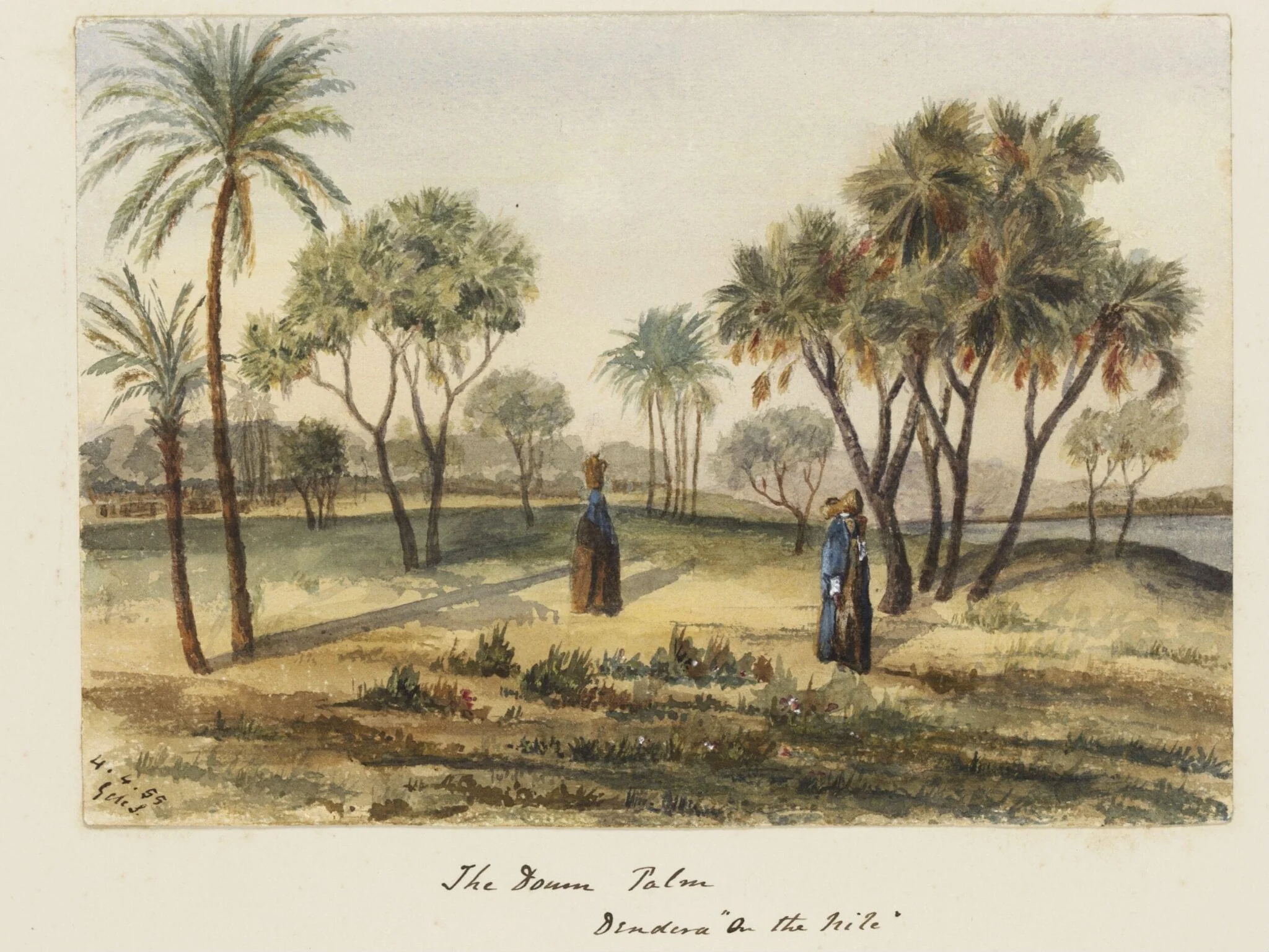`The Doum Palm  Dendera "On the Nile", by George de Sausmarez, watercolor, 1855