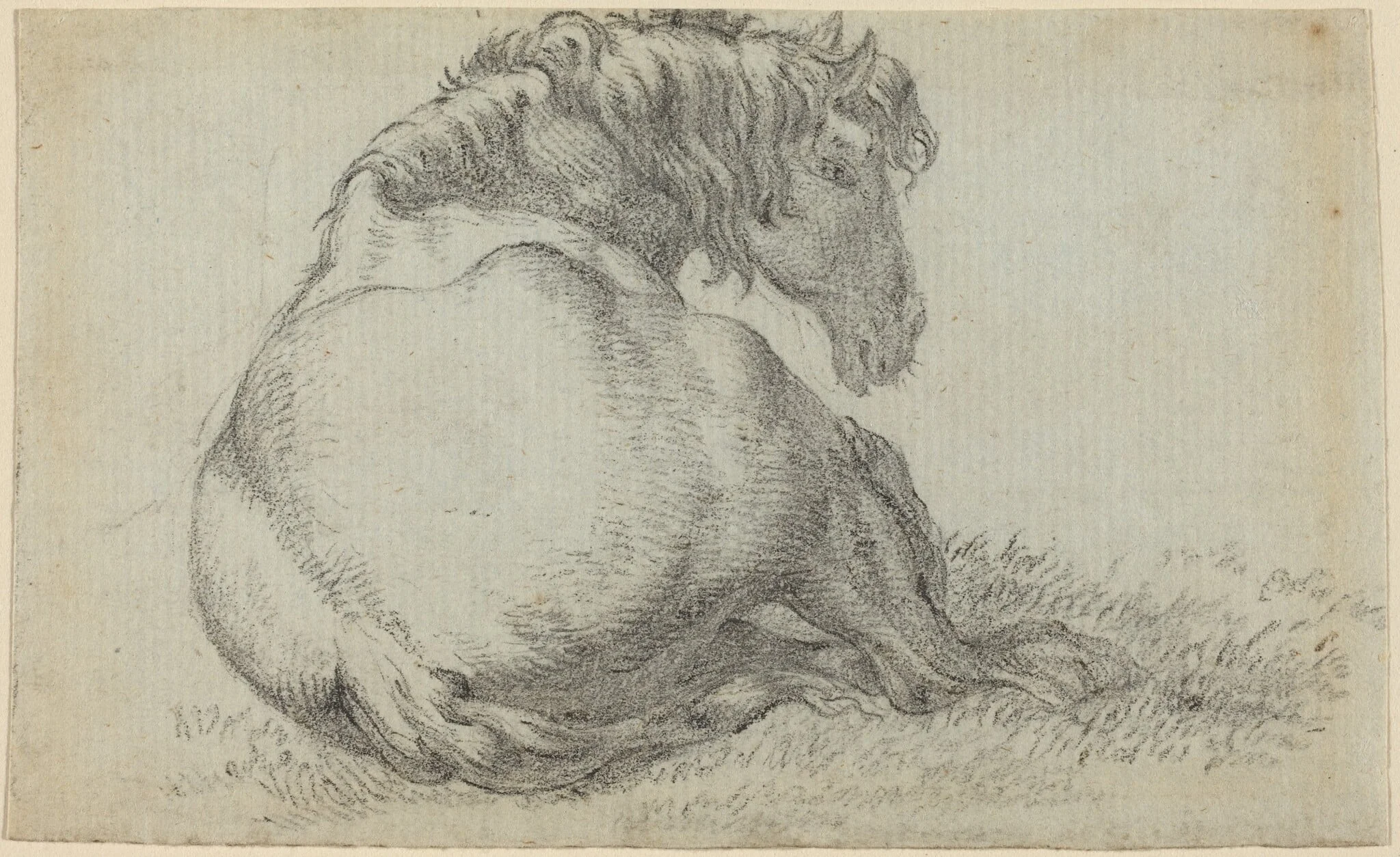 Resting Horse, by Paulus Potter, chalk, 1640