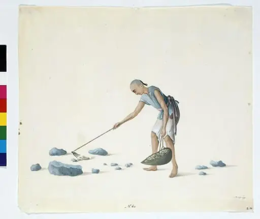 Man Collecting Dung