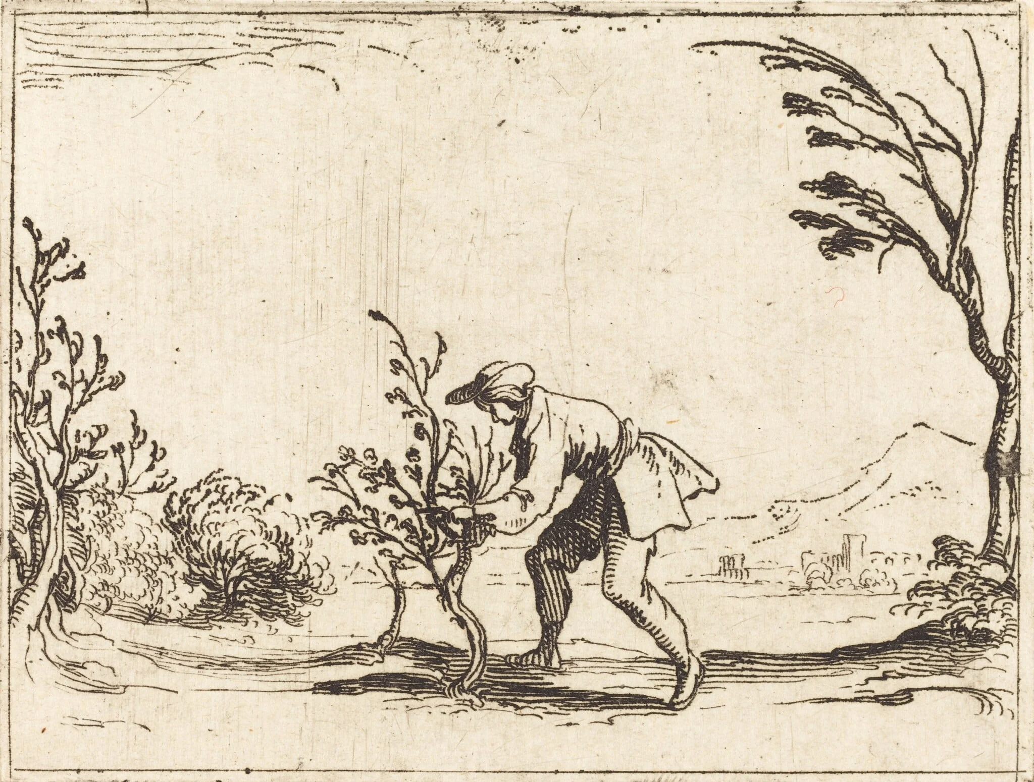 Man Cutting a Balm-Tree, by Jacques Callot, ink, 1628
