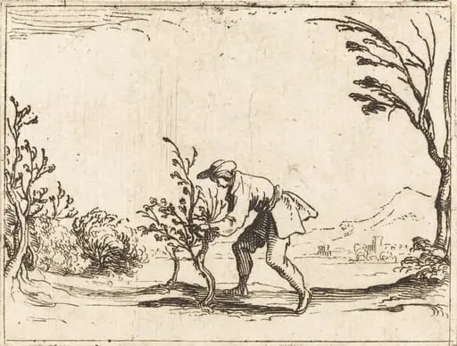 Man Cutting a Balm-Tree