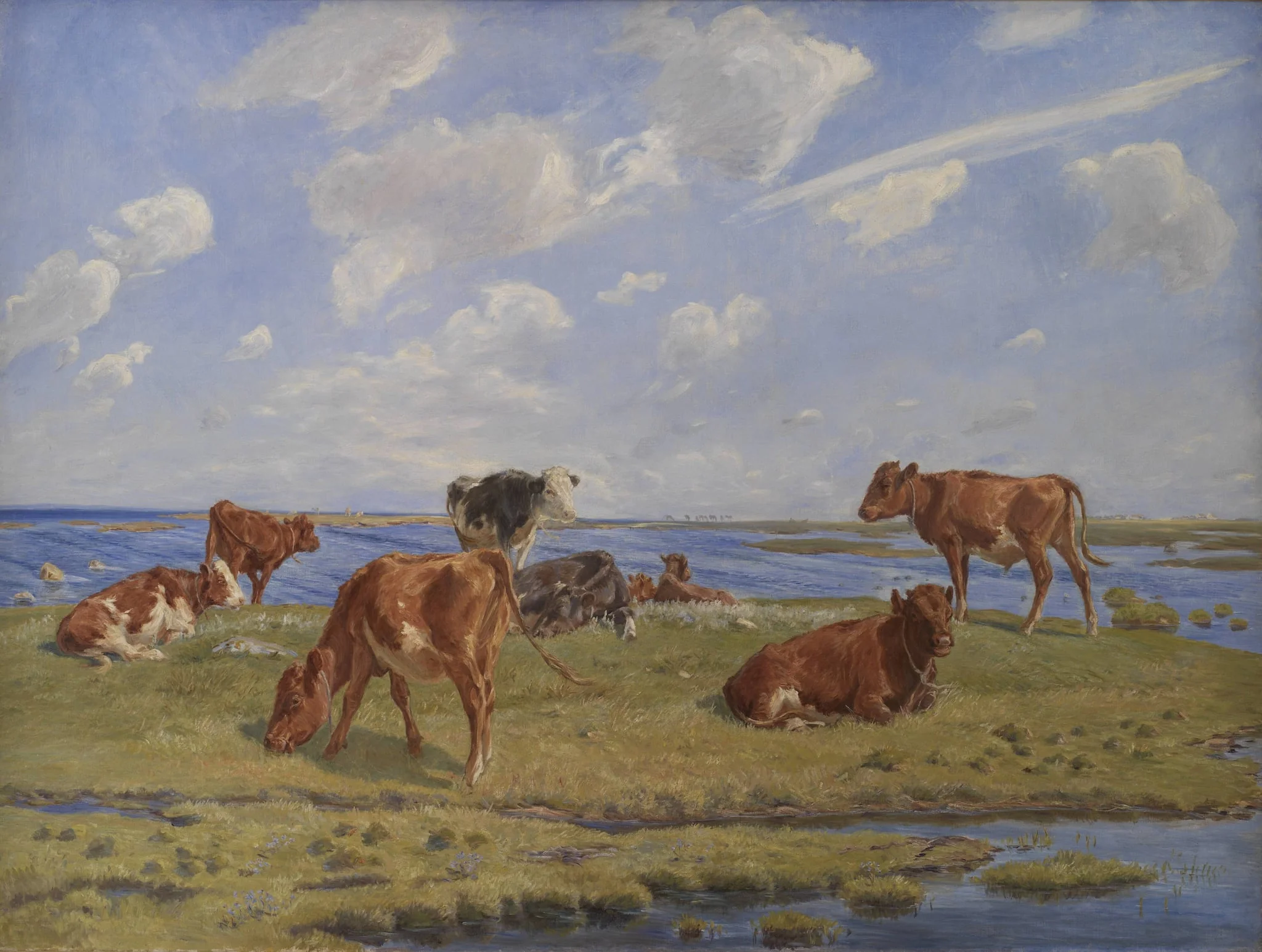 Kalve ved stranden, by Unknown, 1896