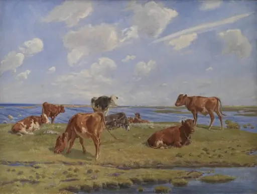 Kalve ved stranden