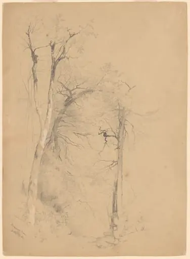 Kauterskill Clove