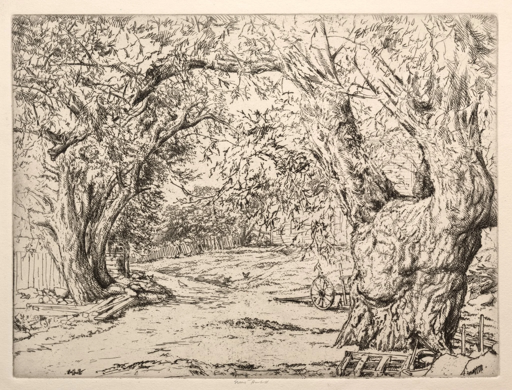 Winnegance Willows