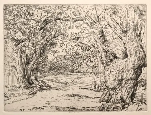 Winnegance Willows