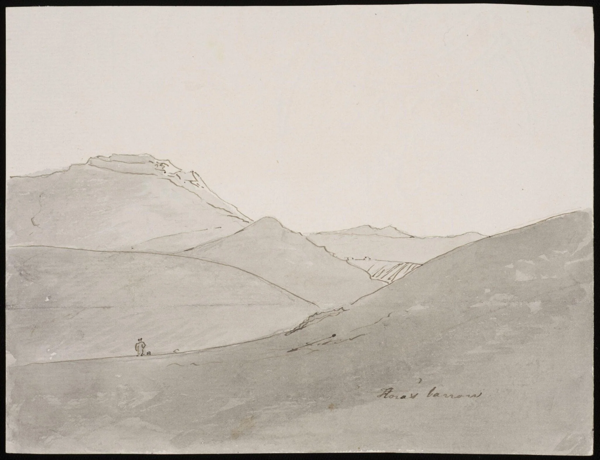 Flora's Barrow