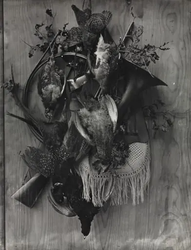 Trophy of the Hunt