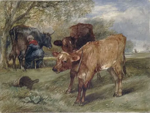 Calves