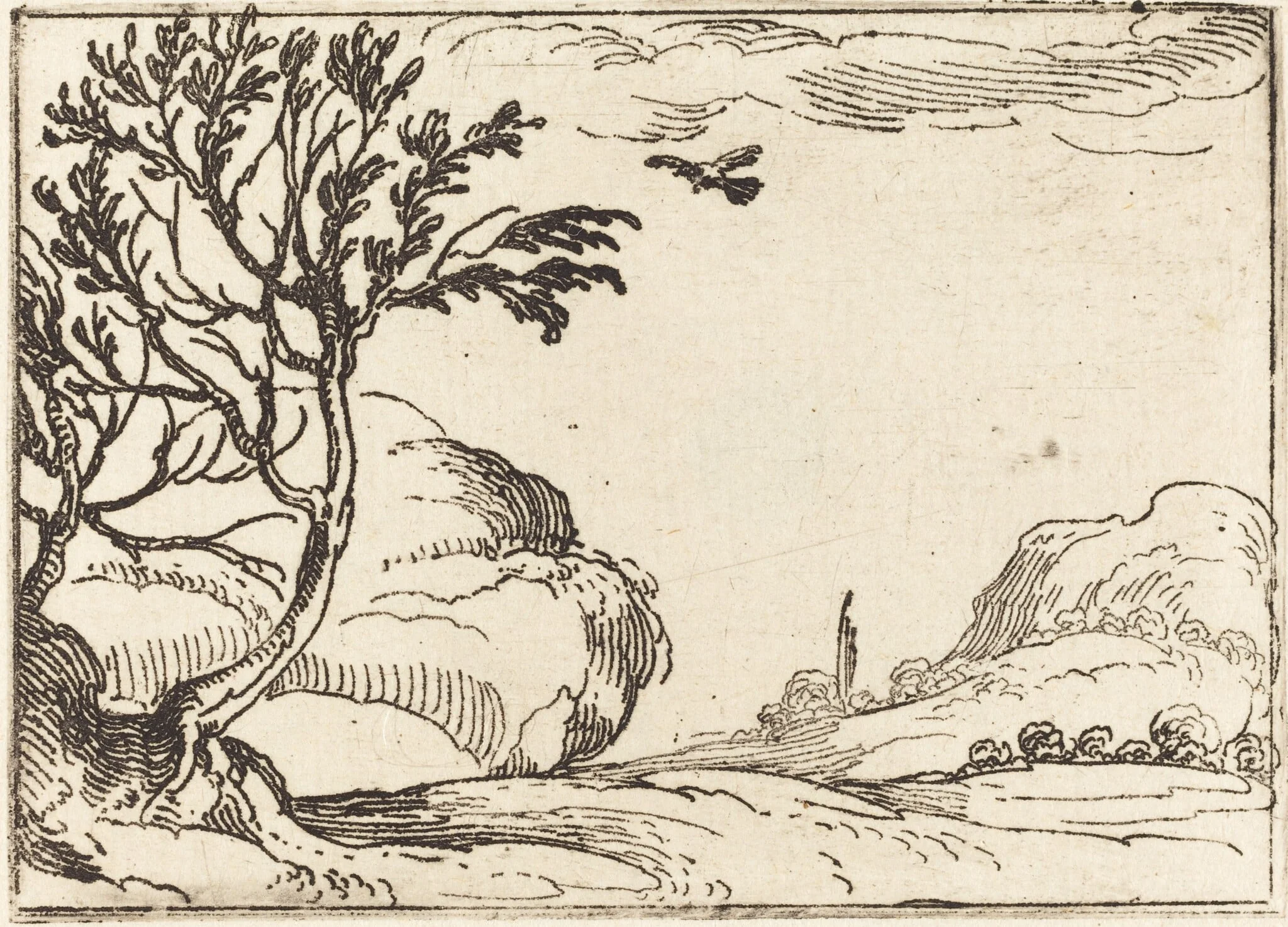 Turtle Dove Flying in the Desert, by Jacques Callot, ink, 1628