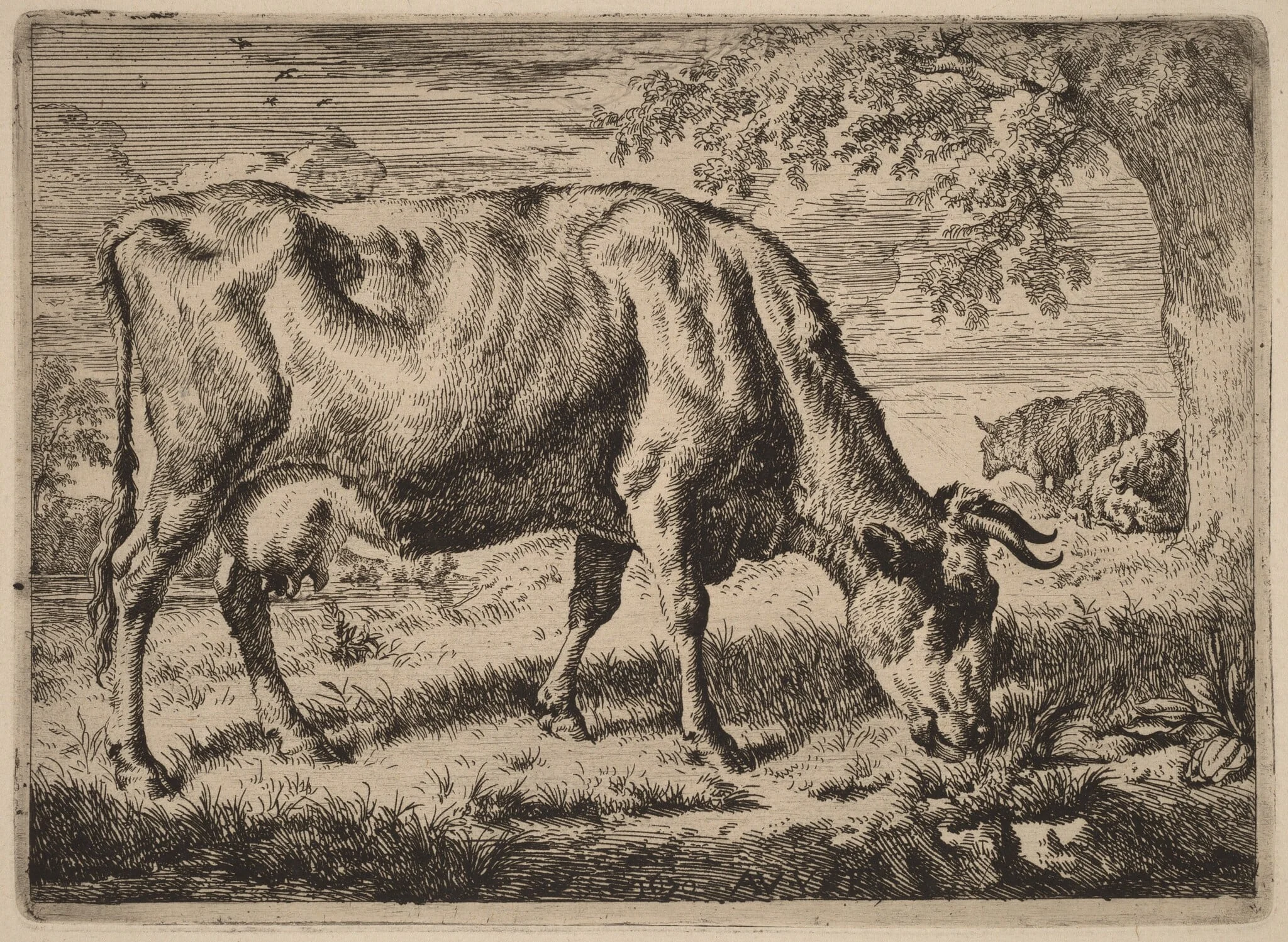 Grazing Cow with Two Sheep, by Adriaen van de Velde, ink, 1670