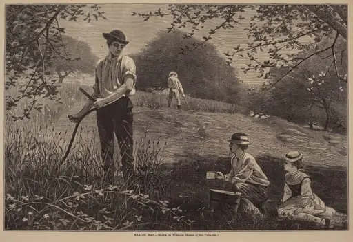 Making Hay
