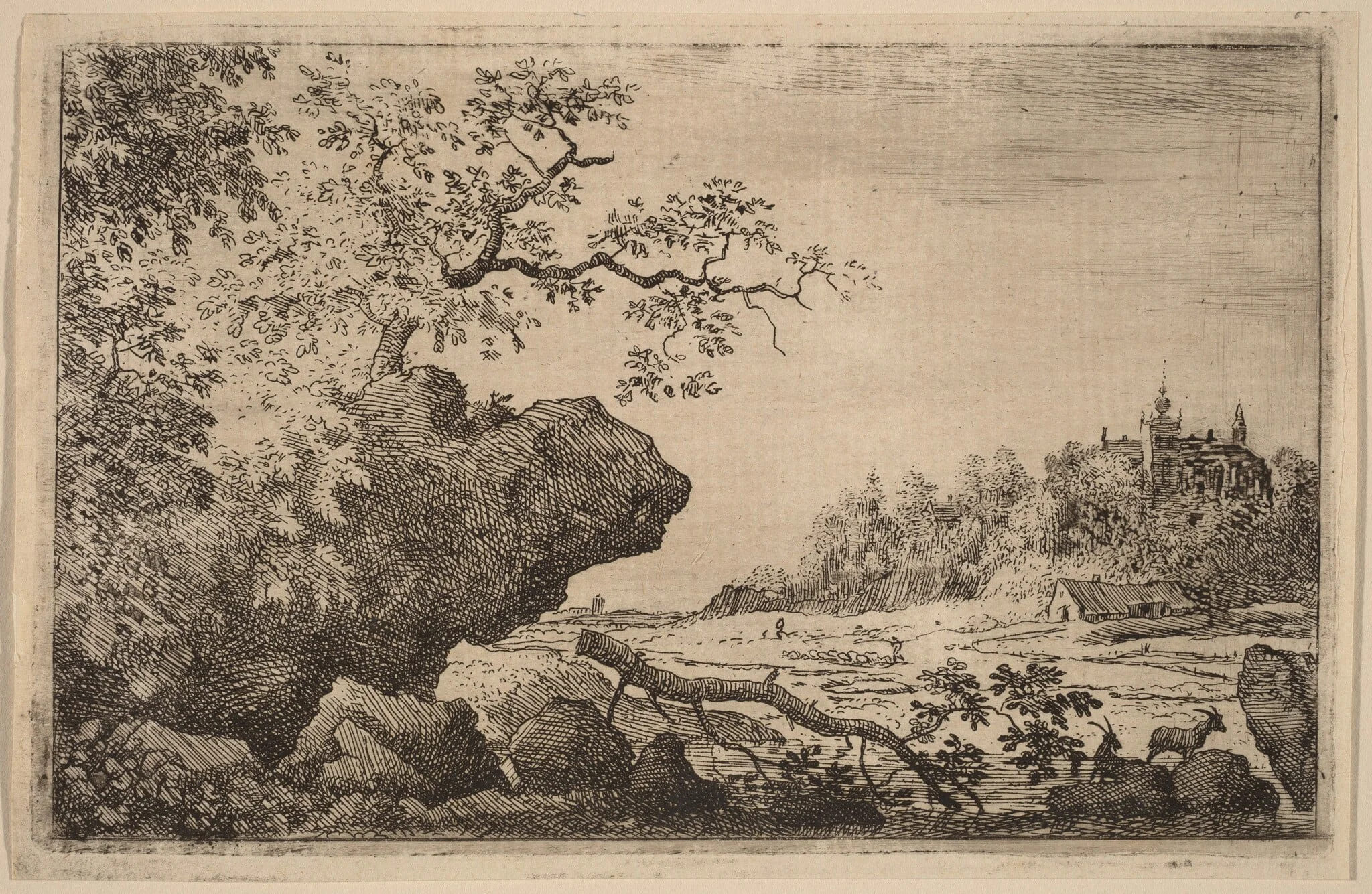 Branch in the Water