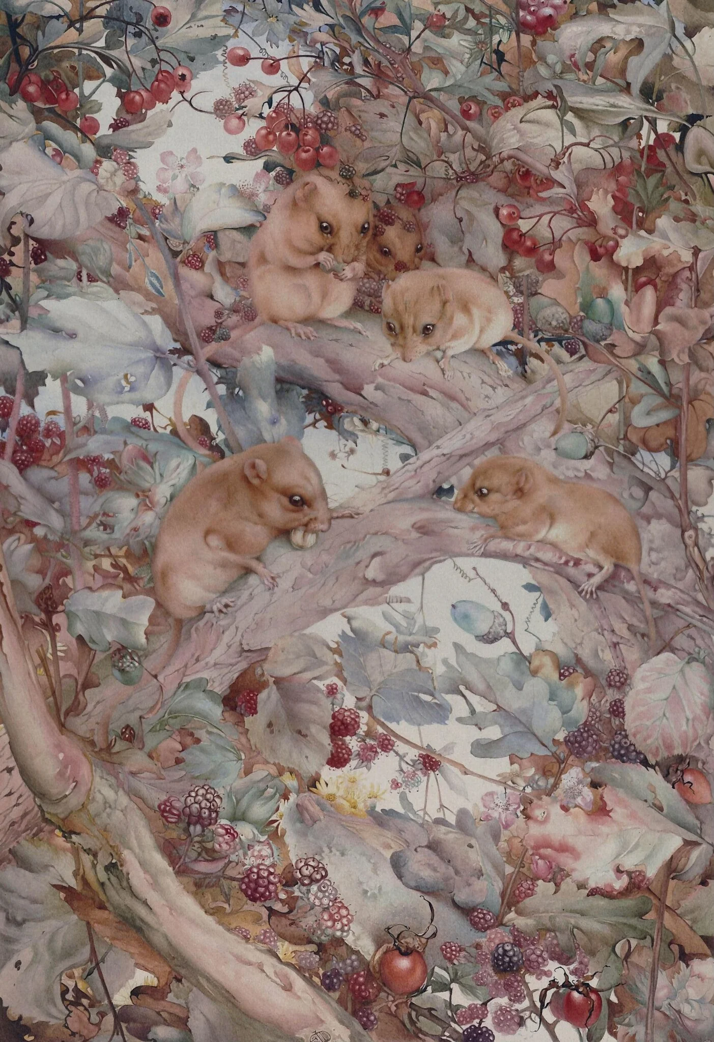 Dormice among brambles