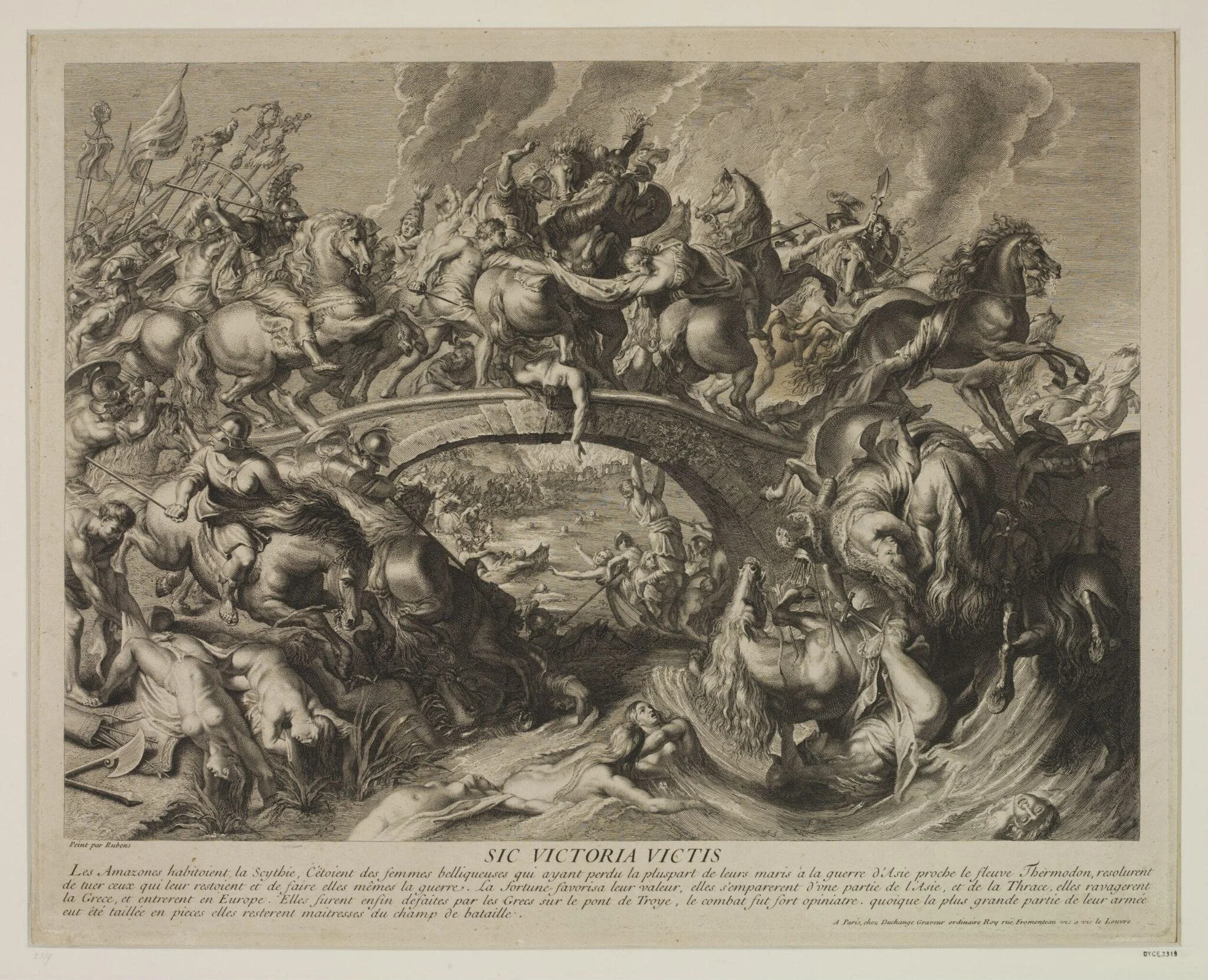 Battle of the Amazons