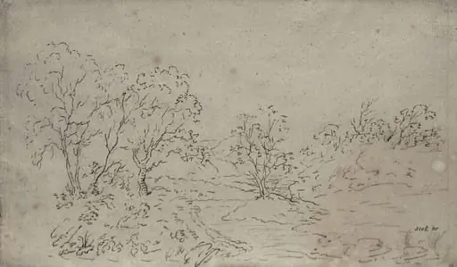 Landscape: a stream running between trees