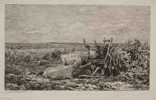 The Grape Harvest
