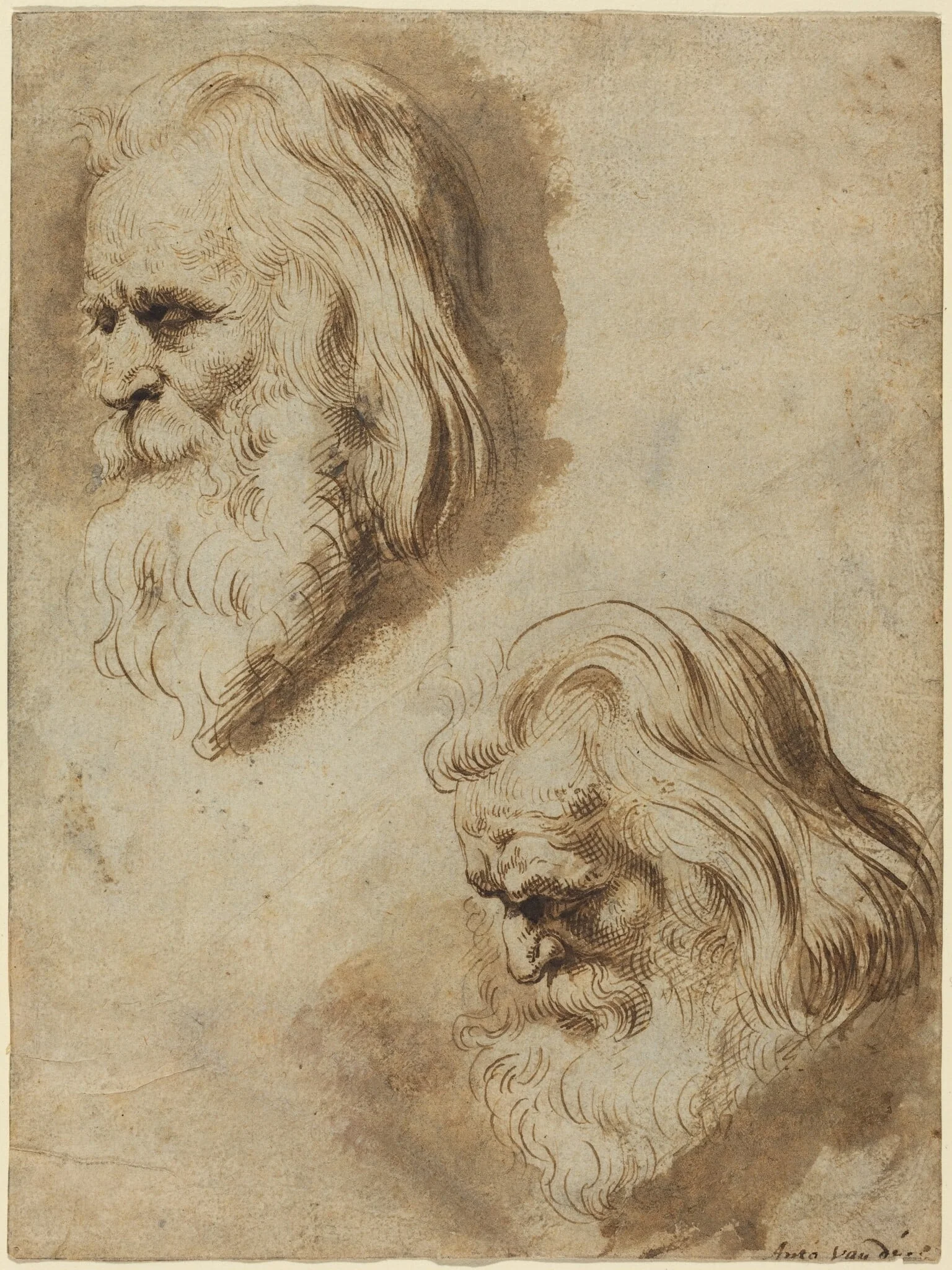 Two Studies of an Elderly Man's Head, by Paulus Pontius, ink, 1630