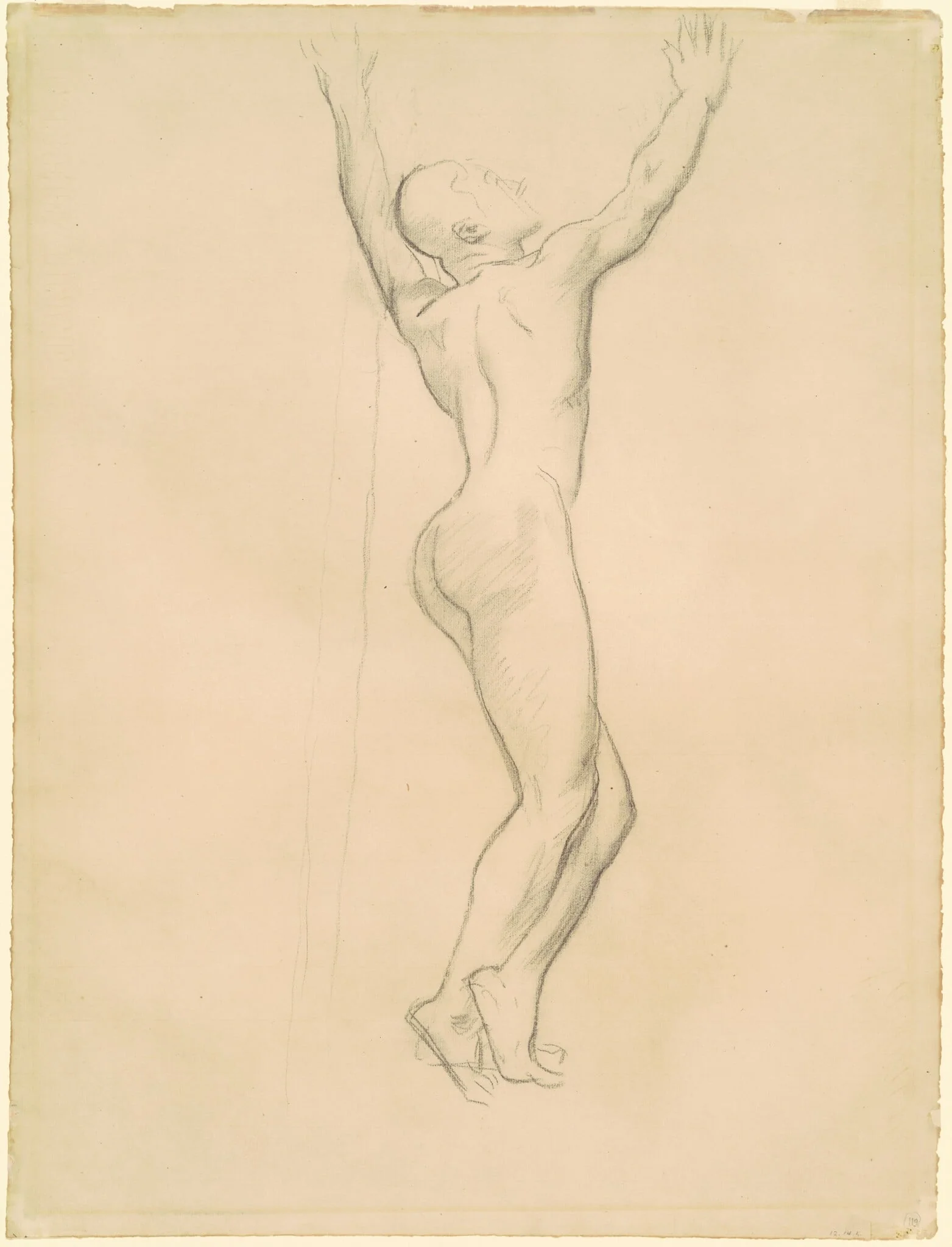 Study for "Apollo and Daphne", by John Singer Sargent, charcoal, 1918