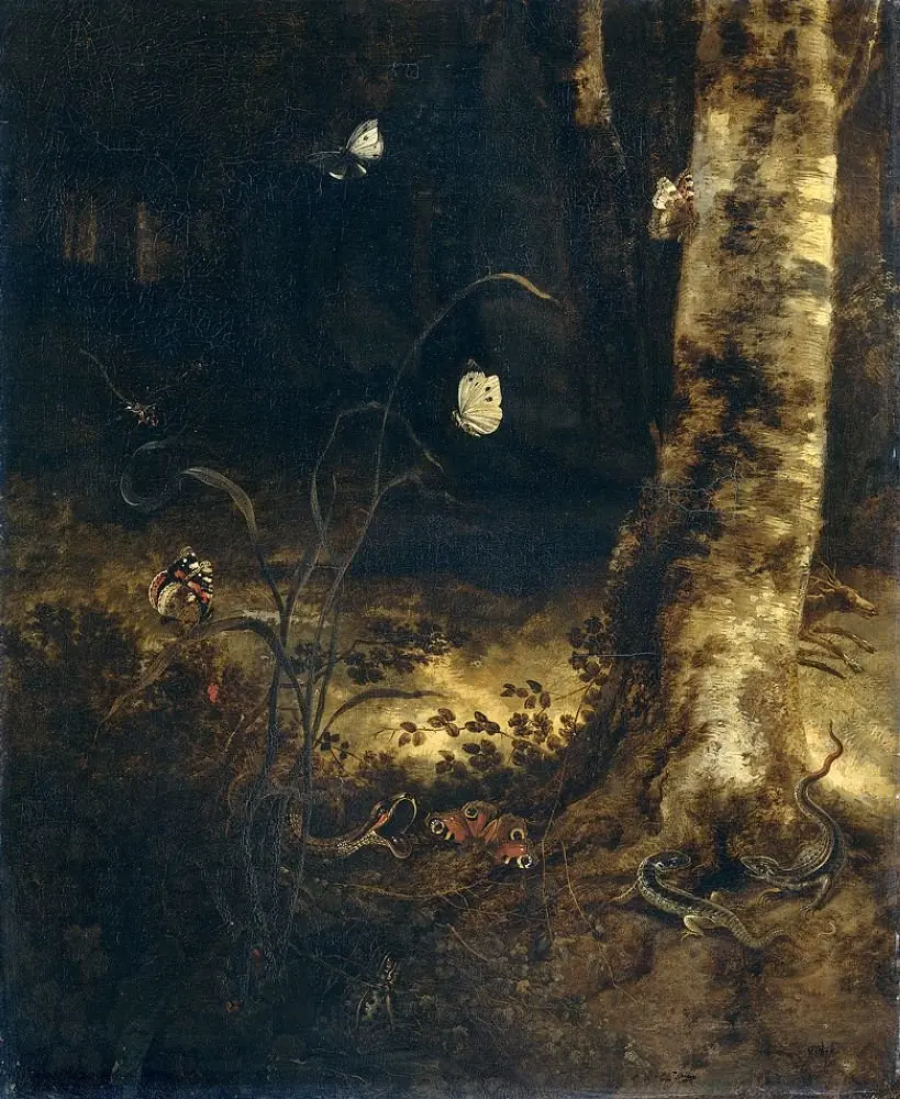 A forest floor with a snake, lizards, butterflies and other insects