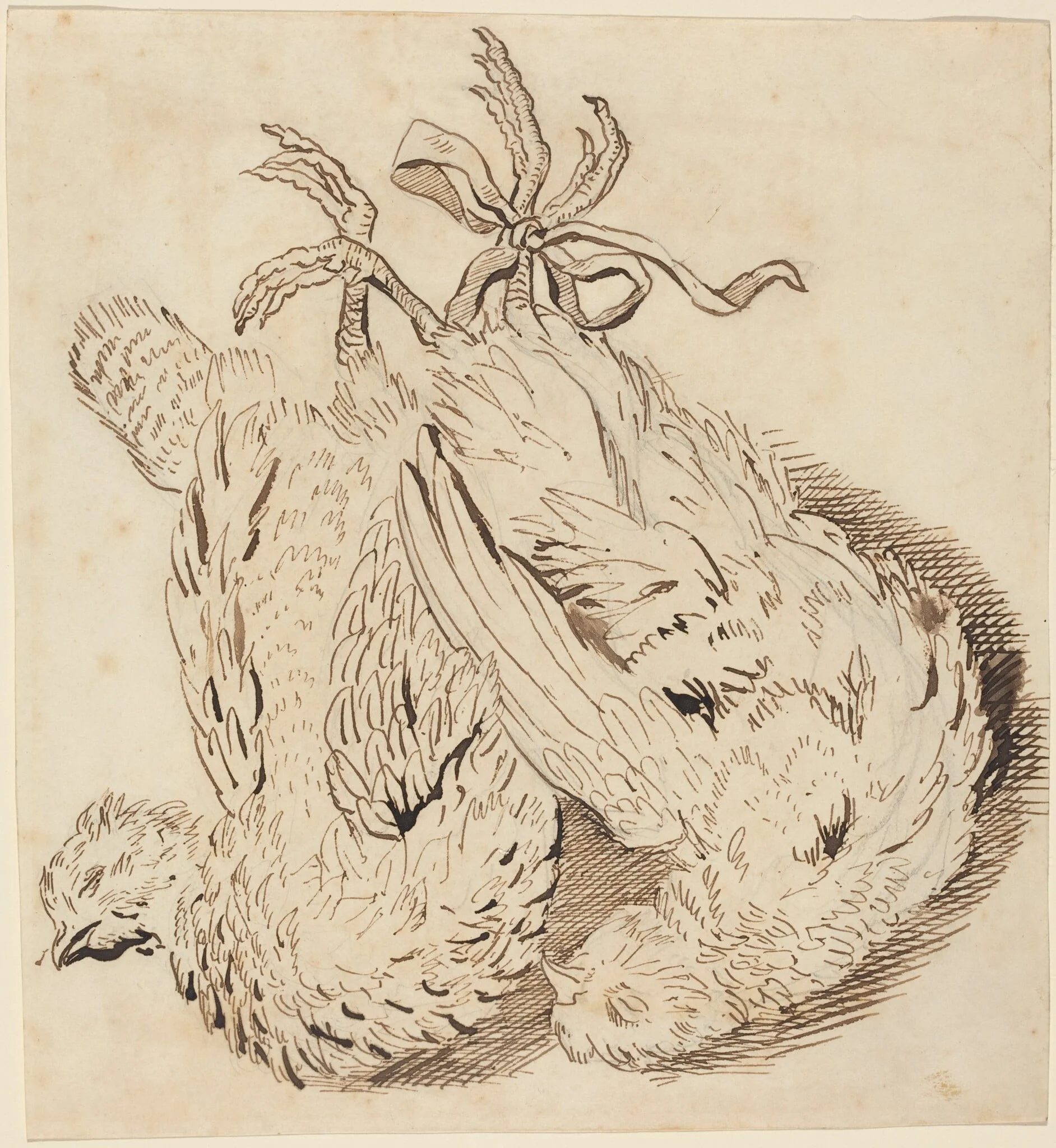 Two Dead Chickens, by British 18th Century, ink, 1701