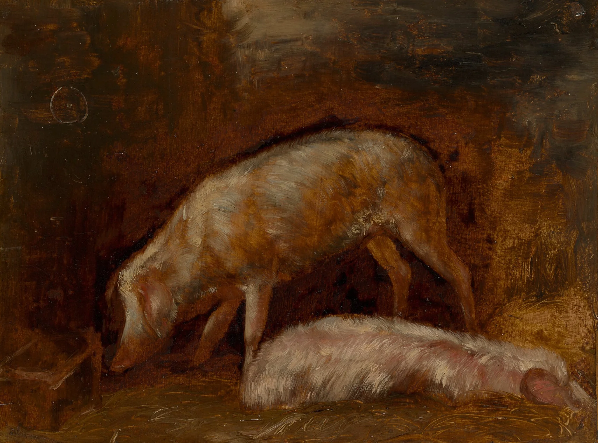 Study of Pigs, by Alexandre Gabriel Decamps, oil, 1855