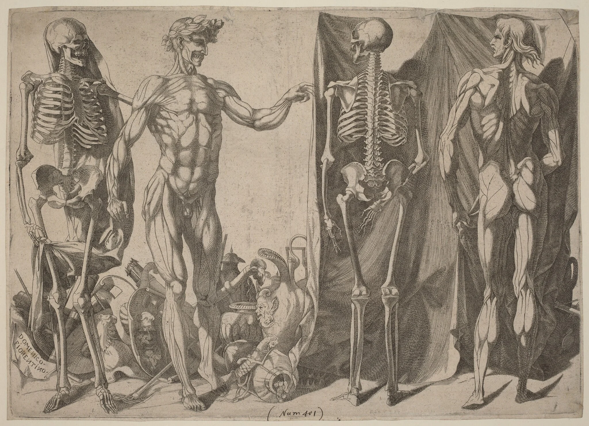 Squelettes et Ecorches, by Domenico del Barbiere, ink, 1542