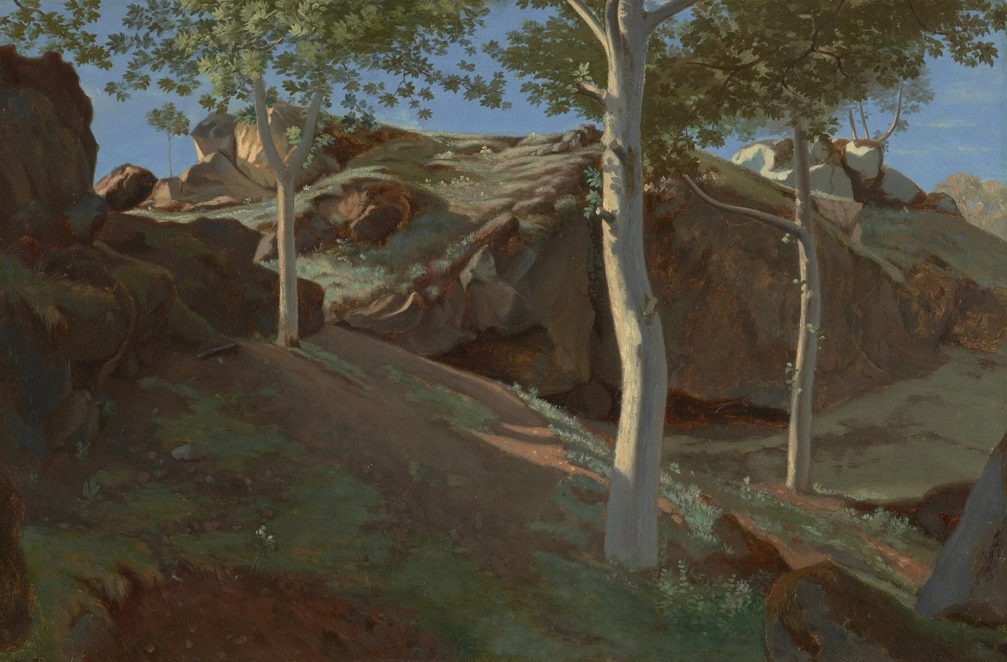 Birch Trees on a Rocky Incline: Fontainebleu